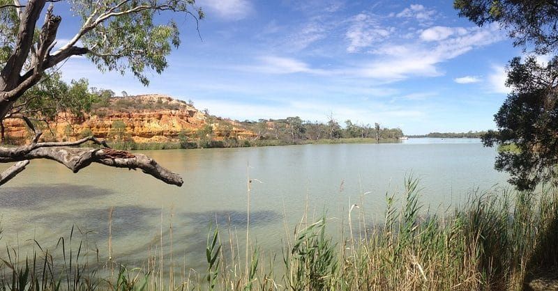 Riverland’s Murray wonderland named state’s Park of the Month post image