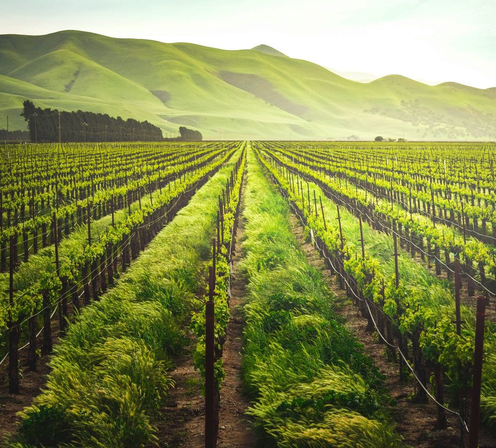 GPSA seeks grower feedback as fuel companies co-ordinate supply post image