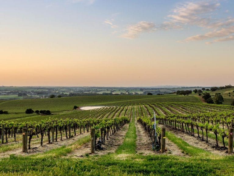 Loxton and Renmark host grower sustainability training sessions post image