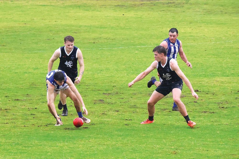 Panther Park gets Andy’s tick of approval post image