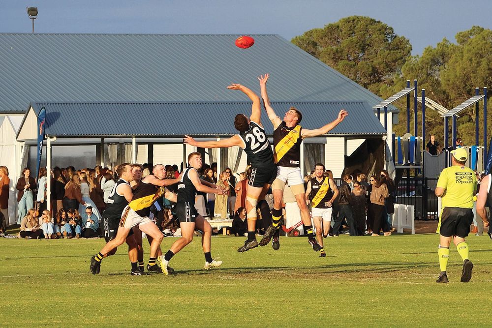 Bragging rights back with the Panthers post image