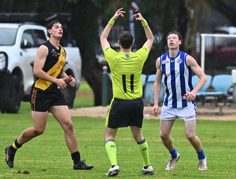 Tigers tame Rovers in wet conditions post image