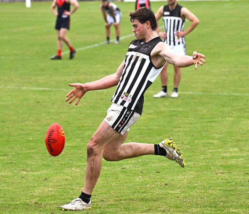 Magpies fly to the top post image