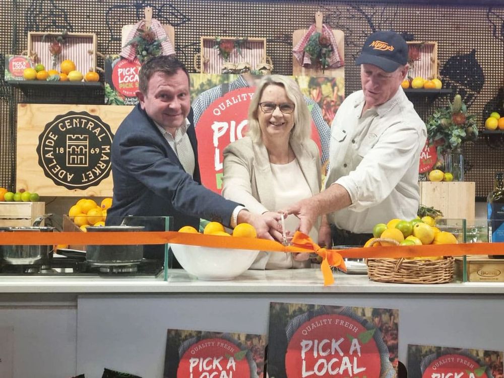 Citrus season shaping up to be promising post image