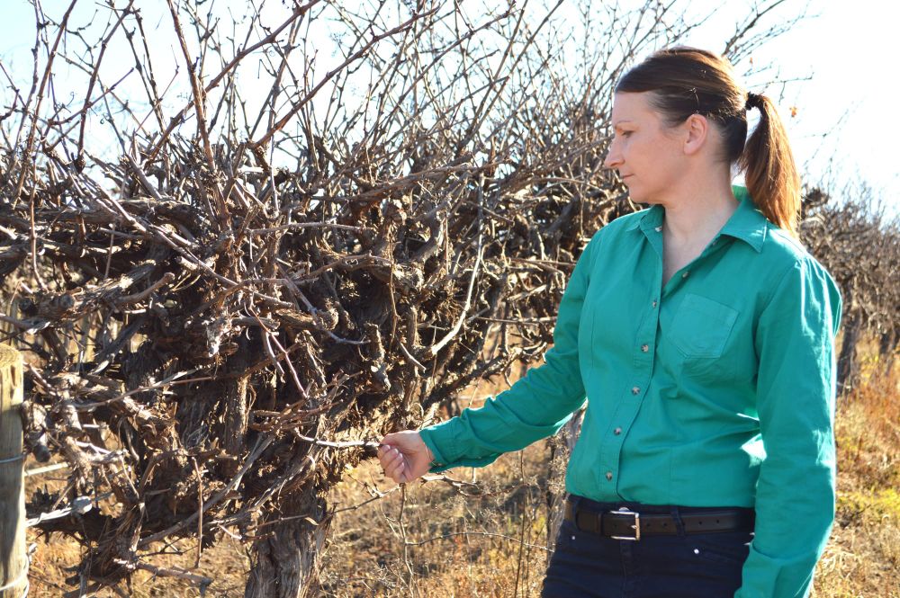 $28.4M locked as growers battle post image
