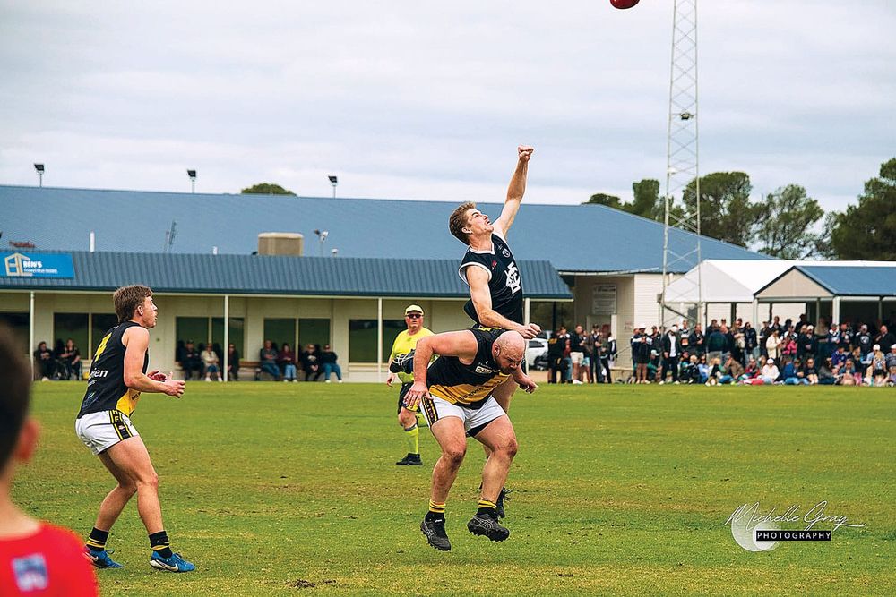 Tigers claw their way into finals post image
