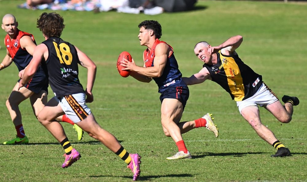 Demons advance to home prelim final post image