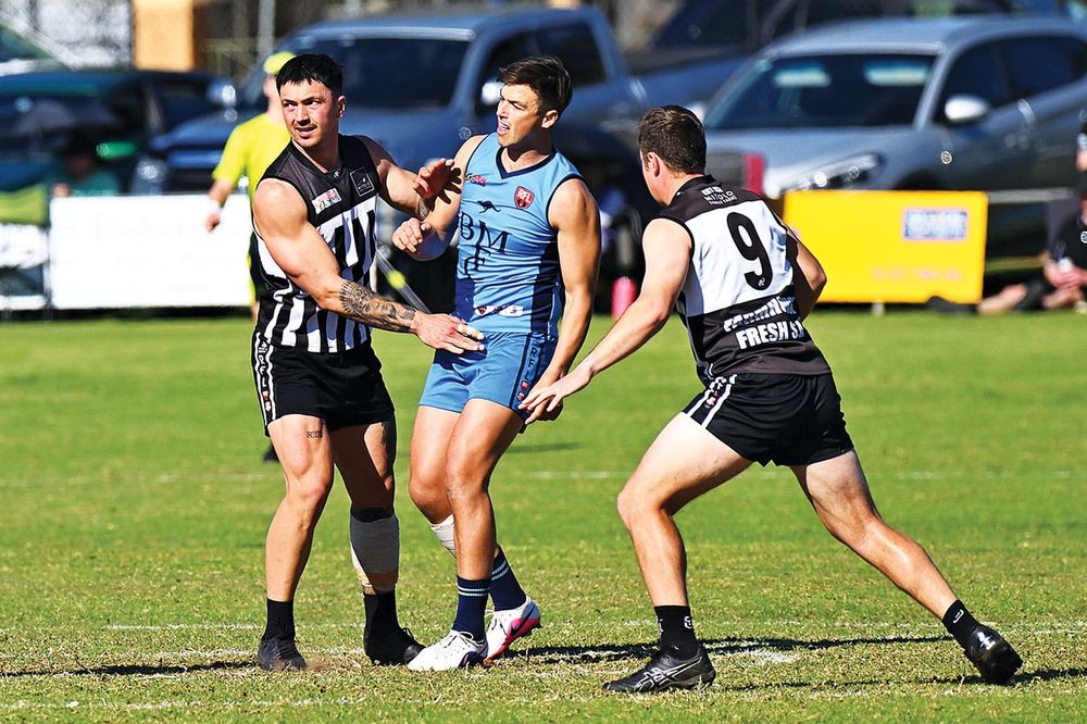 Magpies and Roos ready to lock horns post image