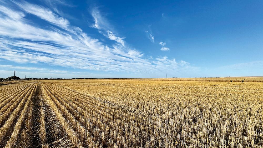 A spring spray drift reminder from PIRSA post image