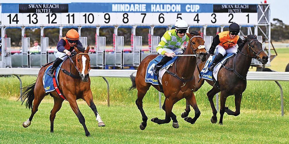 Off to the races…this Sunday post image