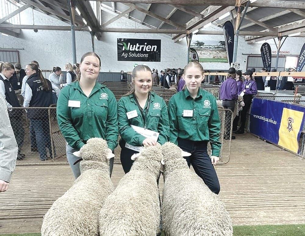 Waikerie High School wins top fleece awards post image