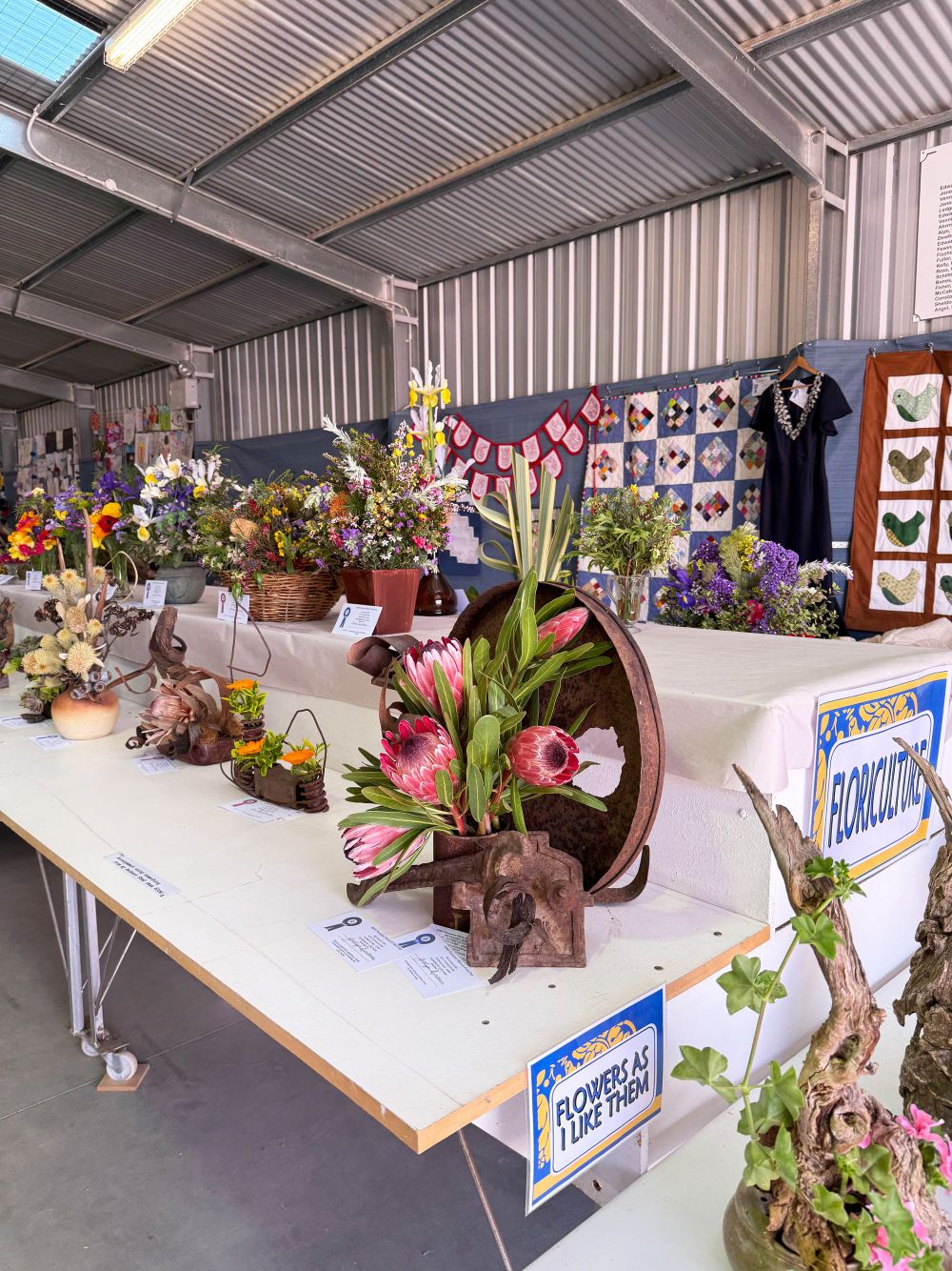 What does Pinnaroo Show poultry cancellation mean amid bird flu concerns? post image