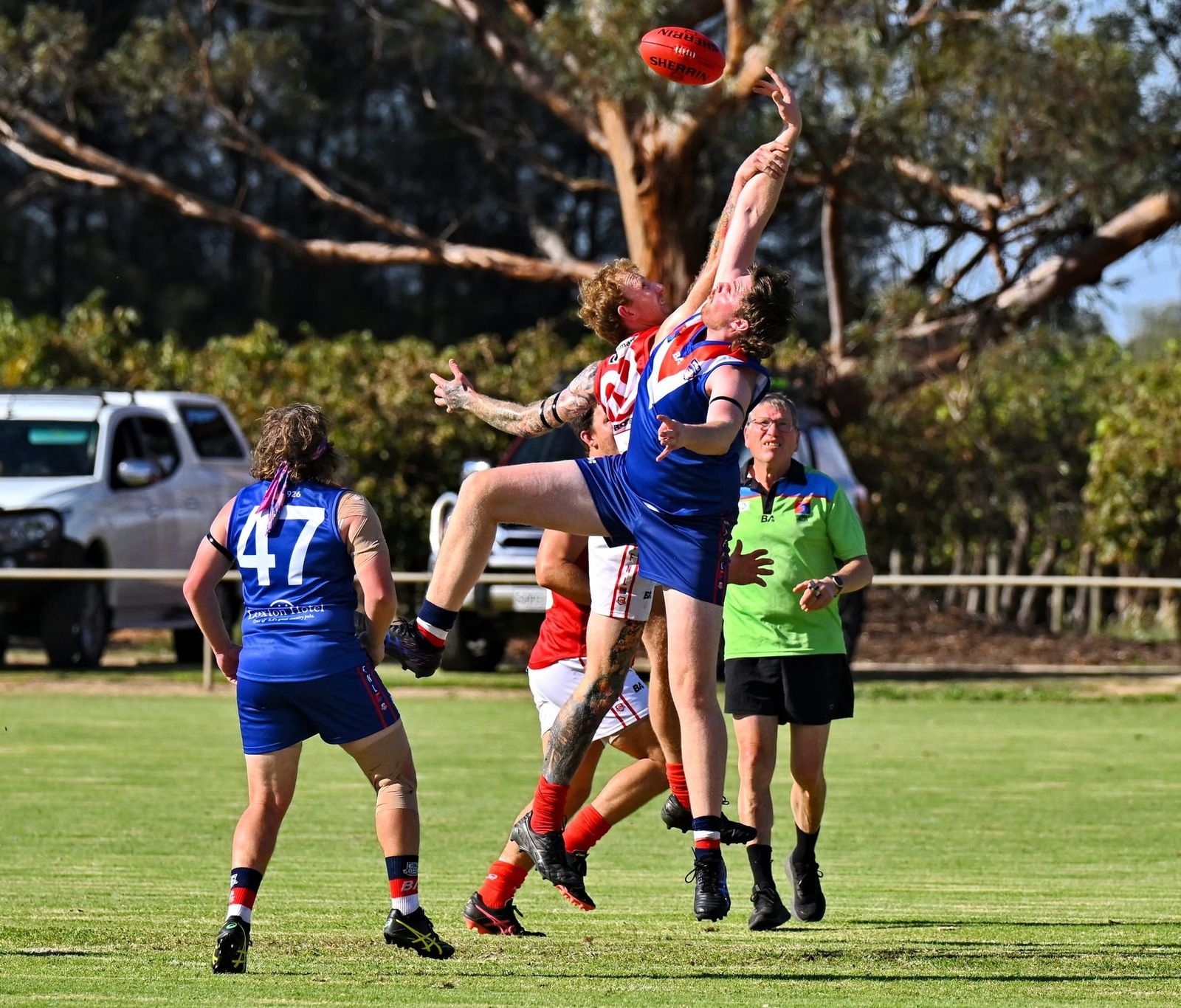 Finally, Bulldogs back to the kennel? post image