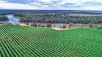 Next Crop program lands in Riverland post image