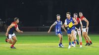 Rowe shines under the lights post image