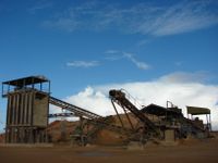 The years go by post image