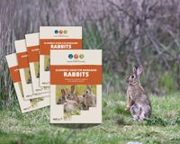 Riverland land managers get new practical Globebox Guide to manage feral rabbits post image