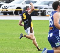 Tigers climb to three from three post image