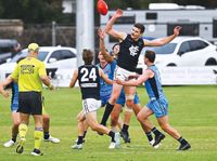 Plucky Panthers pinch it in a Lakeside thriller post image