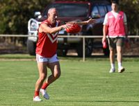 Hill kicks 10 as Swans soar to the top of the ladder post image