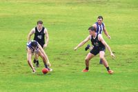 Panther Park gets Andy’s tick of approval post image