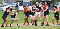 Panthers entrench themselves in the top four post image