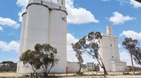 Alawoona silo art project gains momentum: Donations still needed post image