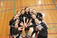 Spiking into state finals post image