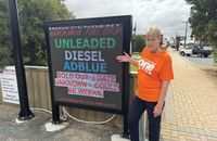 Plan to delay SA council elections: Mayor says no, Jenny says yes post image
