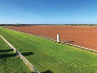 Fantastic plastic at Halidon track post image