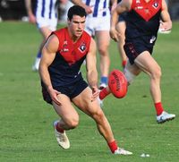 Berri protect home ground with emphatic win post image