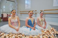 Raising the barre post image
