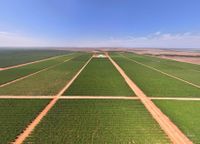 Administrators appointed as Talia Farms sale resumes post image