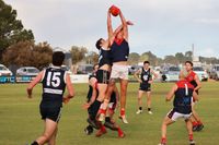Demons delight in Saf’s 300th post image