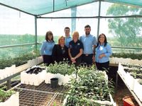 Community invited to apply for Seeds of Renewal program post image