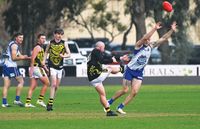 Tigers roar back into top three post image