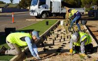 Boost to help landscape board take climate action post image