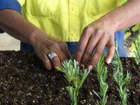 Community-led projects receive boost through Grassroots Grants initiative post image