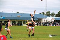 Tigers claw their way into finals post image