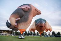 Skywhales soar over Loxton post image