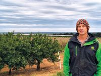 Loxton grower backing a beloved half-time tradition post image