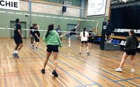 Tip Touchers and Setting Ducks leading the way in social volleyball post image