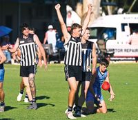 Magpies in full flight en route to flag post image