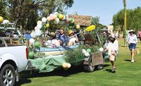 Community steps up: Mardi Gras future strengthened post image