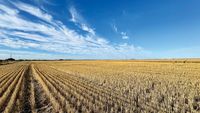 A spring spray drift reminder from PIRSA post image