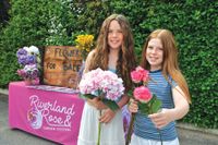 TAKE YOUR PICK THIS ROSE WEEK post image