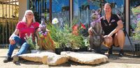 Waikerie businesses join in on the garden party post image