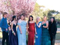 Night of glamour at Swan Reach Area School formal post image