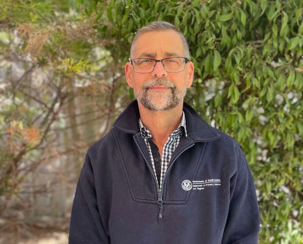 Don’t pack fruit fly this Easter post image