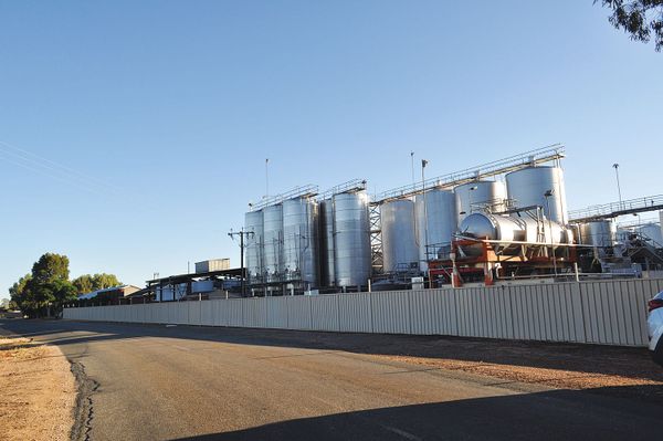 Wine industry’s new wellbeing support post image
